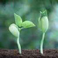 02ff5ccb5a054e4ec8e2b902ec5437e281a954b2