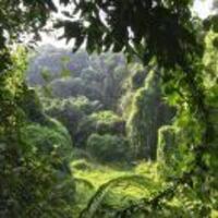 11b9f7f05a0a9e548bd276930400f442044ddbfd