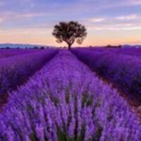 D65503e9d43e330e26de68023ca2c92f21e3fb57