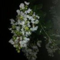 2167b72510becec7eac48e3552d22115c8015af1