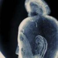 3de2d96c937c7fe4eed0bf2bae95f247b936f0ea