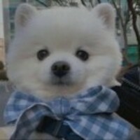 6775a3a94ad136f26b3012f6a448ae0fd6d483ff