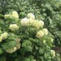 2437756c5f36af687ad6ee00700c8bba958f1fd3