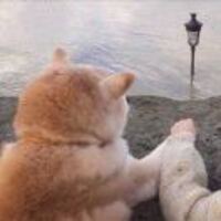 088cfcb88b0df9315524d3c1bad1a62bf580524c