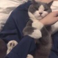 F3f0d675273b5c4a4b0e91499b2d21ced1239b3d