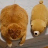 Aabd9b047cfde29da085027bf3c599a72b4d69ea