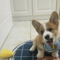 768751daa54f5f5fa03b0b6df613a226473d084a