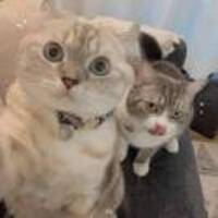 Ae3981bbd2f887efb11360af3515e98debfa9836