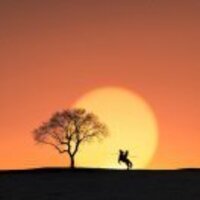 B084563384012674af80b3754dc6a2e62a45d9f1