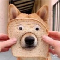 D1311146d65a2ac20abca349168d6b3a3bc47d1f