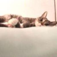 5c583864c05ea3891cbb6e1ad92bbe6b56b65b53