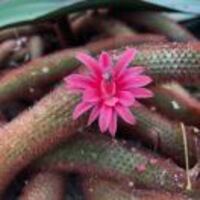 C10be064e7b0259e9479f8a44ab207c056c284dd