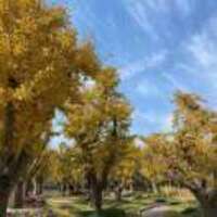 69930f0f4058834174bb7f82f2719db210b63a41