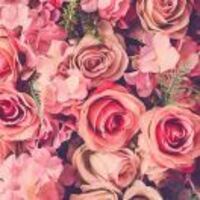 D3796669f0c6dbc6681e61ed502555acbe8dbc5e