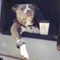 47998bbff8da357a5e3347dfa67efc9e8f262d51