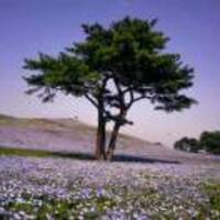 Dd2930bd3acd0fc80bdcb995d78e4a66150e586a