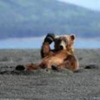 330cf38984104be87425c1f5f1e3ba28cfe01f6c