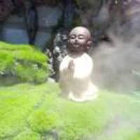 Fb6d96bba5ce6b22e000c4915e33f51a9c677b32