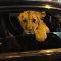 9ce8df2f1280ed601de6e31d177a31828e64a82f