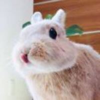 A898e4e02ebbfacf726839e112a1b909569b15d6