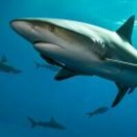 E8e67f45f520bad649fdc6415cb922a953e07463