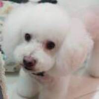 3c3283731258ee771ad41f6c5ce914087121ff41