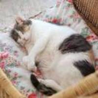 B65b5d8b83b17da982503d9ff1366c17c64124d1