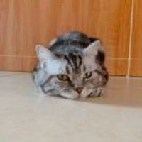 5e5555c27bb6957ff94dcfa85b85b9412a56ad44