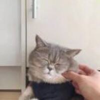 16a81057e3d8b85a0d92e10ffef2d7cc8d438910