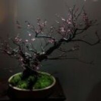 457b40aa15c8fba4bb640e896c014d40f42fcbf0