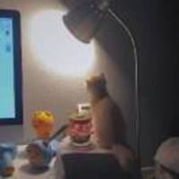 7fe5148503872a243189be8c7c62dc738bfbc757