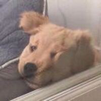 8068609b809f545b732f1c31f25ef88c1ca8273b