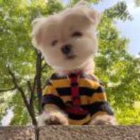 501b81ab38f23eefdc199862ccaad5c2d40a1379