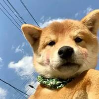 47618c39408e5f251baeeed800560c49fb5a2f7f