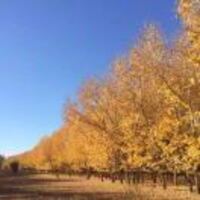 Fad950379f76a50518db45da4e5287a36fcf8a87