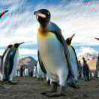 Db3dabb3bd215d5c4592d47a5b74fcf5c415711f