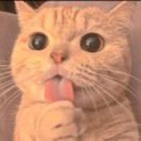 573685c2e2ecb564da06bd0fbf33f875029fdd37