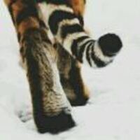 813fc427873f59b942f343e745ef75f8f83806ba