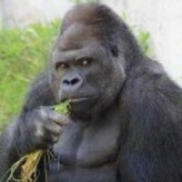 8d1f34b13347b6a2ff8f1f78872417cc77c119bc