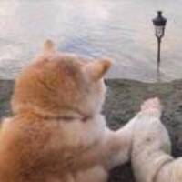 9792a48557dbe6ad0b2158bbfe493a651f53d557