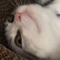 C343c12372d703a5060eb5007c5c5463d10213d9