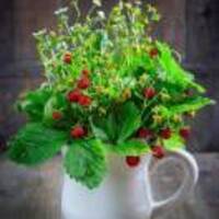 C5abd5633d6091468e408d84f3c7e4105574f95a