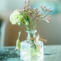 220fe817429c07b346a2374b7338e99eaaa8098f