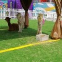 5caa9aa03fe5fd4858baaee66a32e25bc89794db