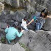 9b3f3e186052e6f2f7e72b062ee801a1401902bb