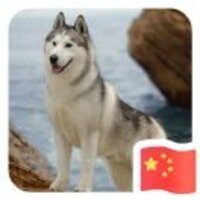 5e4c91d8ed0f91a46716710941979d77caa388a6