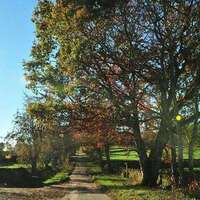 8b5232e29c0eb702d648c94706e7abce620fb168