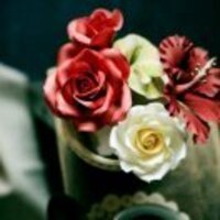 7161da5351630f80fee10e022f28bb03049f9cf5