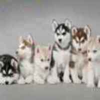 728d647f17c1a816a879bbab27af62e197b76def