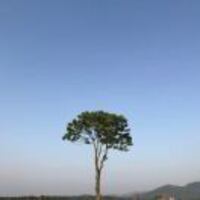 B8e6723e34826aa670764038309462070d4693cb